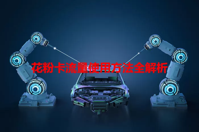 花粉卡流量使用方法全解析