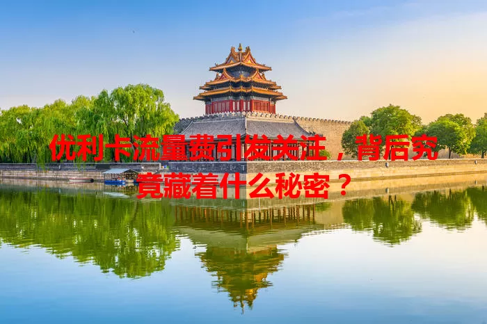 优利卡流量费引发关注，背后究竟藏着什么秘密？