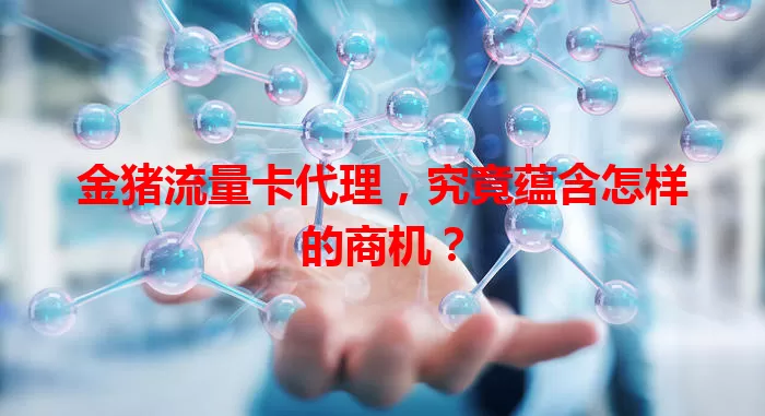 金猪流量卡代理，究竟蕴含怎样的商机？