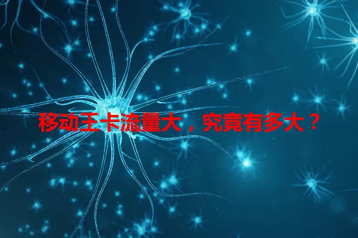 移动王卡流量大，究竟有多大？