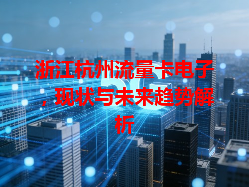 浙江杭州流量卡电子，现状与未来趋势解析