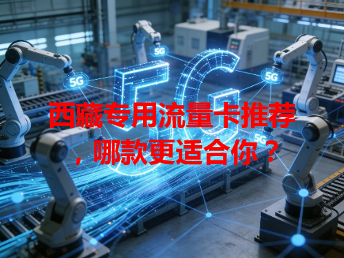 西藏专用流量卡推荐，哪款更适合你？