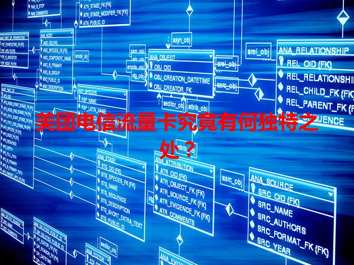 美团电信流量卡究竟有何独特之处？