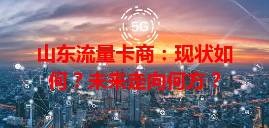 山东流量卡商：现状如何？未来走向何方？