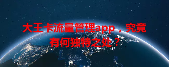 大王卡流量管理app,究竟有何独特之处?