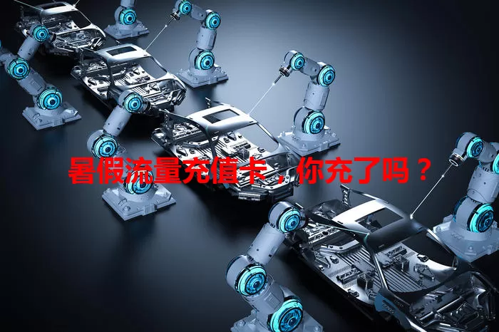 暑假流量充值卡，你充了吗？