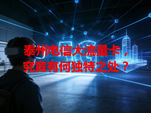 泰州电信大流量卡，究竟有何独特之处？