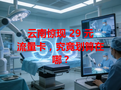 云南惊现 29 元流量卡，究竟划算在哪？
