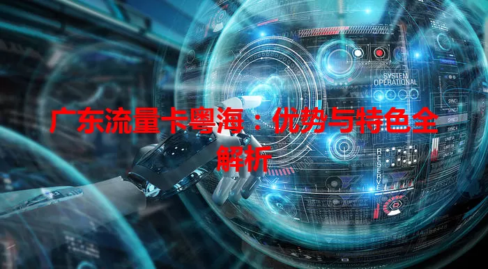 广东流量卡粤海：优势与特色全解析