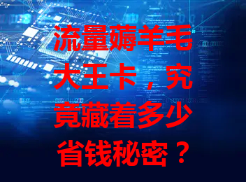 流量薅羊毛大王卡，究竟藏着多少省钱秘密？