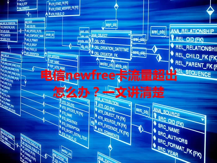 电信newfree卡流量超出怎么办？一文讲清楚
