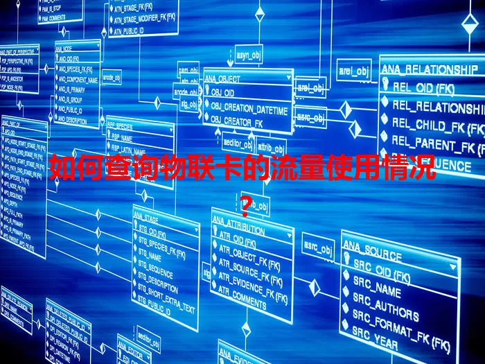 如何查询物联卡的流量使用情况？
