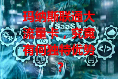 玛纳斯联通大流量卡，究竟有何独特优势？
