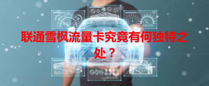 联通雪枫流量卡究竟有何独特之处？