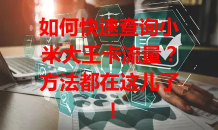 如何快速查询小米大王卡流量？方法都在这儿了！