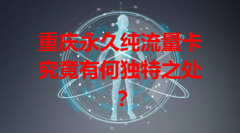 重庆永久纯流量卡究竟有何独特之处？