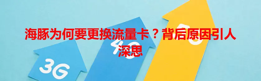 海豚为何要更换流量卡？背后原因引人深思