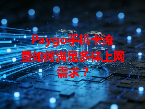 Paygo手机卡流量如何满足多样上网需求？