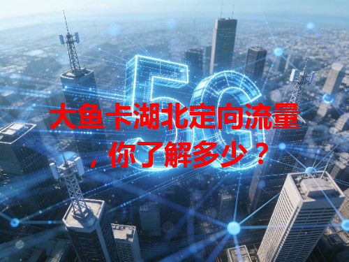 大鱼卡湖北定向流量，你了解多少？