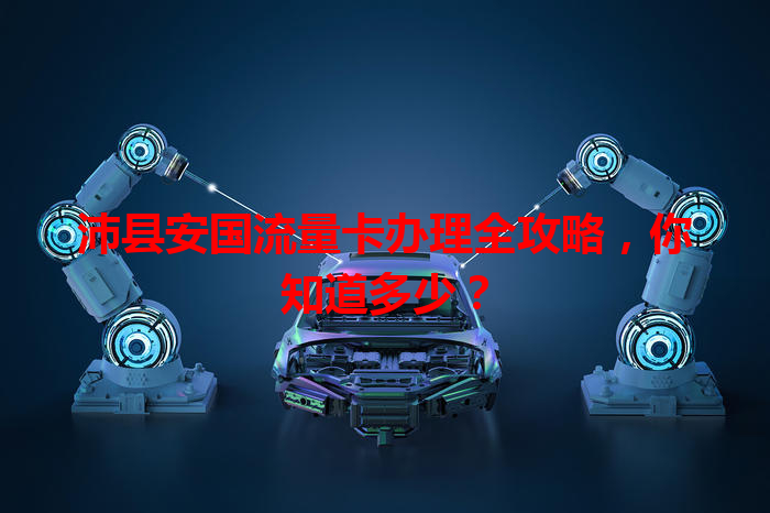 沛县安国流量卡办理全攻略，你知道多少？
