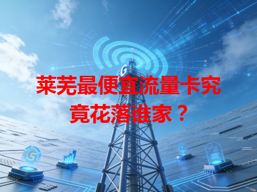 莱芜最便宜流量卡究竟花落谁家？