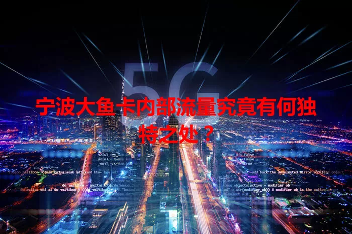 宁波大鱼卡内部流量究竟有何独特之处？