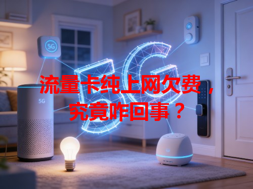 流量卡纯上网欠费，究竟咋回事？