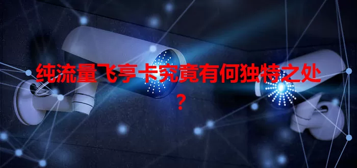 纯流量飞亨卡究竟有何独特之处？