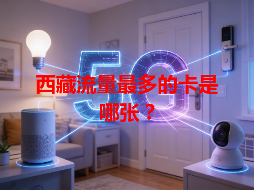 西藏流量最多的卡是哪张？