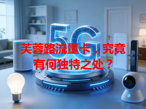 芙蓉路流量卡，究竟有何独特之处？