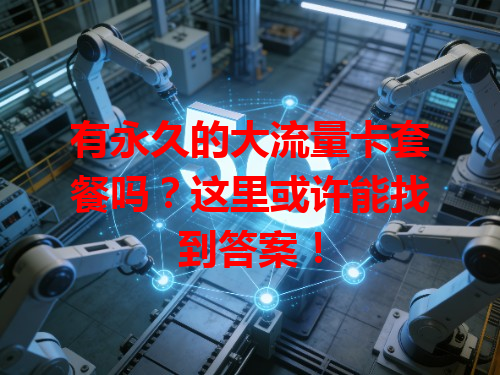 有永久的大流量卡套餐吗？这里或许能找到答案！