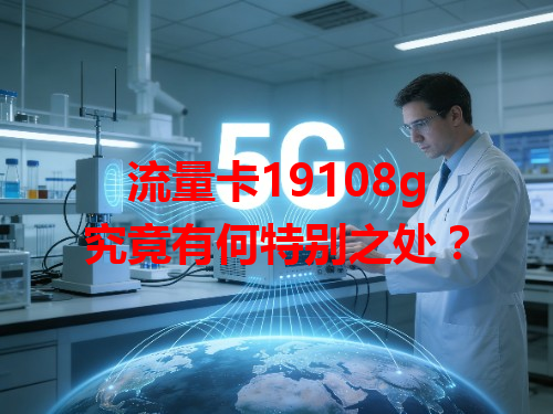 流量卡19108g究竟有何特别之处？