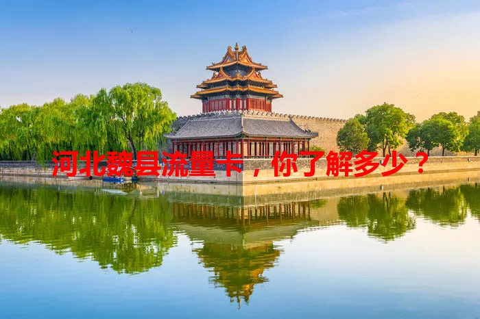 河北魏县流量卡，你了解多少？