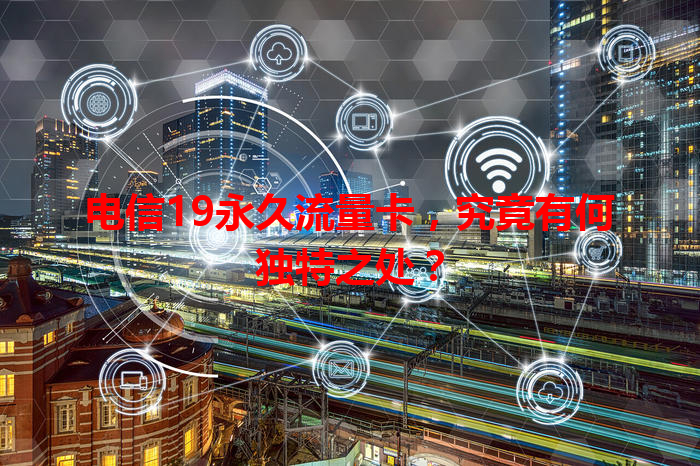 电信19永久流量卡，究竟有何独特之处？