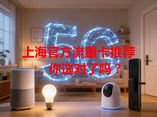 上海官方流量卡推荐，你选对了吗？