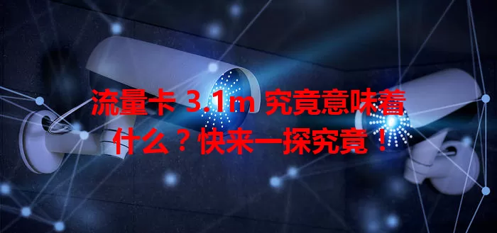流量卡 3.1m 究竟意味着什么？快来一探究竟！