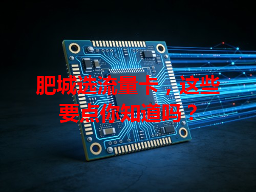 肥城选流量卡，这些要点你知道吗？