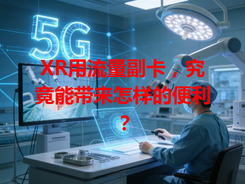 XR用流量副卡，究竟能带来怎样的便利？