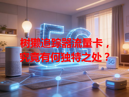 树獭追踪器流量卡，究竟有何独特之处？