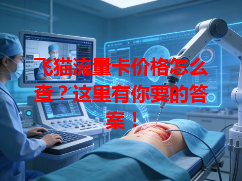 飞猫流量卡价格怎么查？这里有你要的答案！