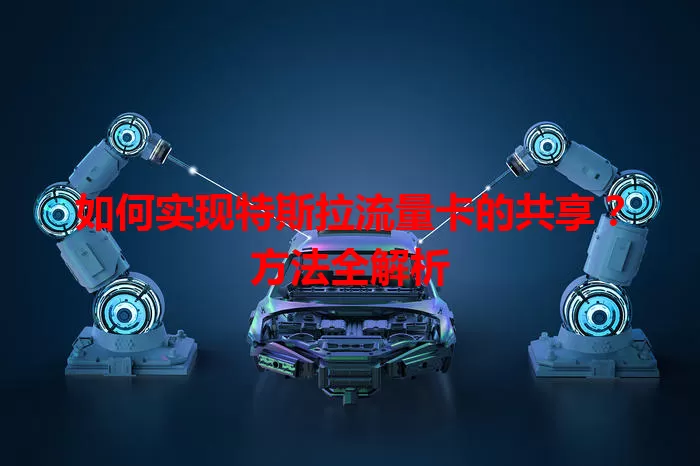 如何实现特斯拉流量卡的共享？方法全解析