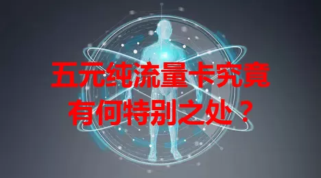 五元纯流量卡究竟有何特别之处？