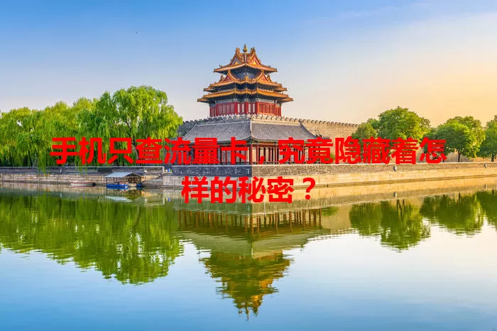 手机只查流量卡，究竟隐藏着怎样的秘密？