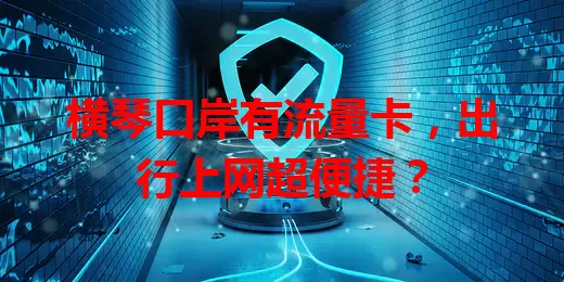 横琴口岸有流量卡，出行上网超便捷？