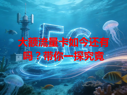 大额流量卡如今还有吗？带你一探究竟