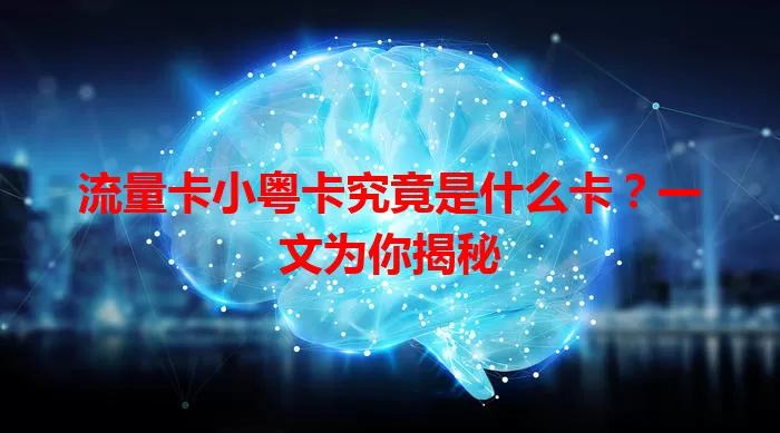 流量卡小粤卡究竟是什么卡？一文为你揭秘