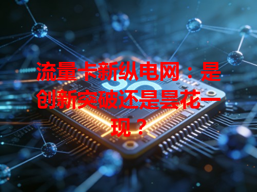 流量卡新纵电网：是创新突破还是昙花一现？