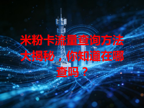 米粉卡流量查询方法大揭秘，你知道在哪查吗？