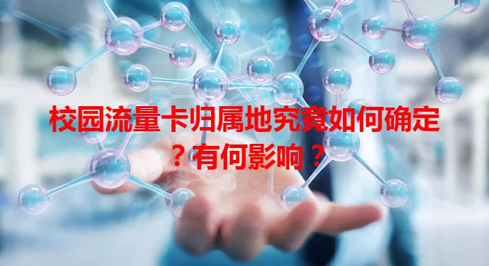 校园流量卡归属地究竟如何确定？有何影响？