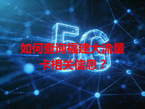 如何查询福建大流量卡相关信息?